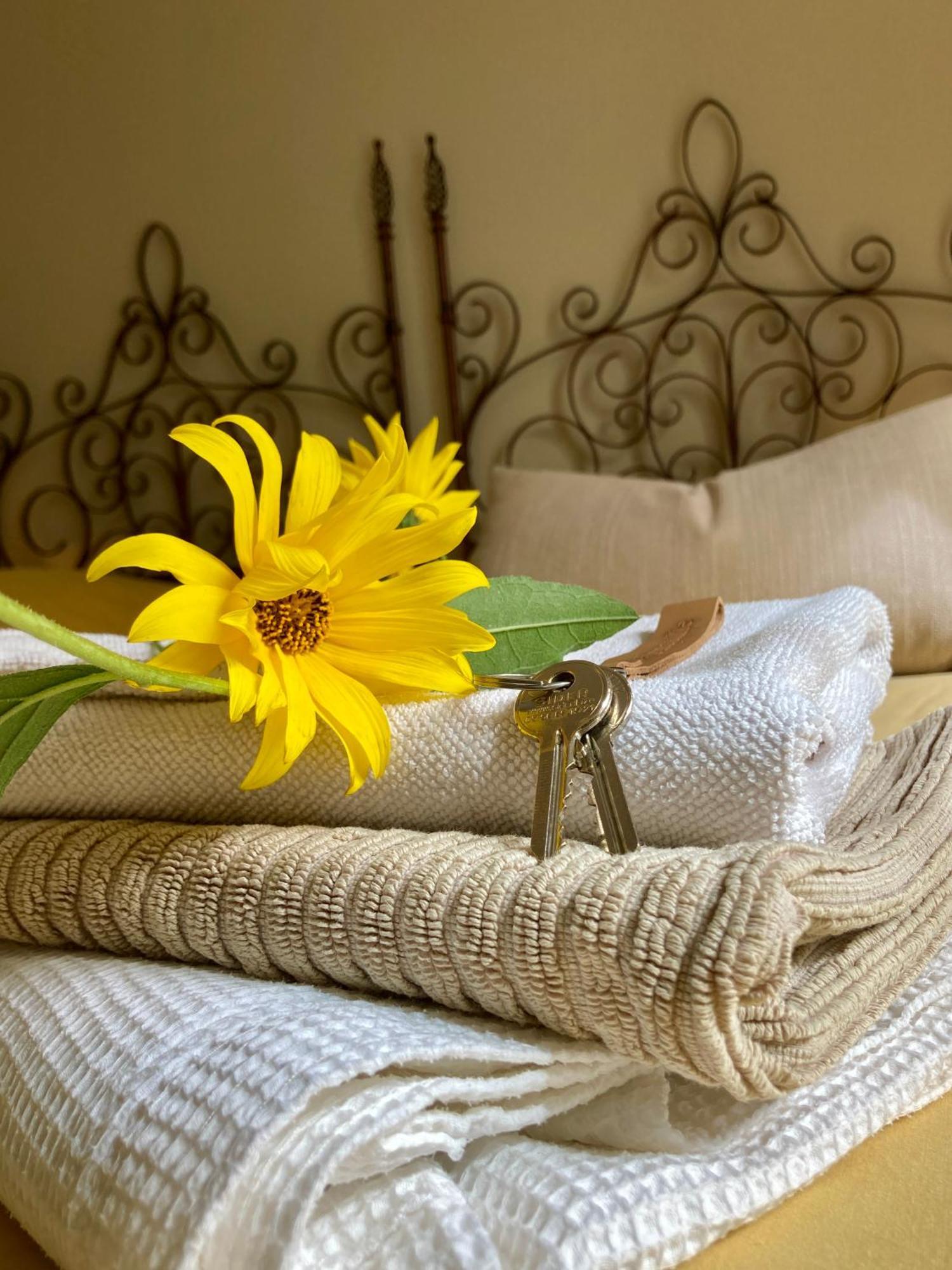La Ferme Buissonniere Bed & Breakfast Bardou Exterior photo